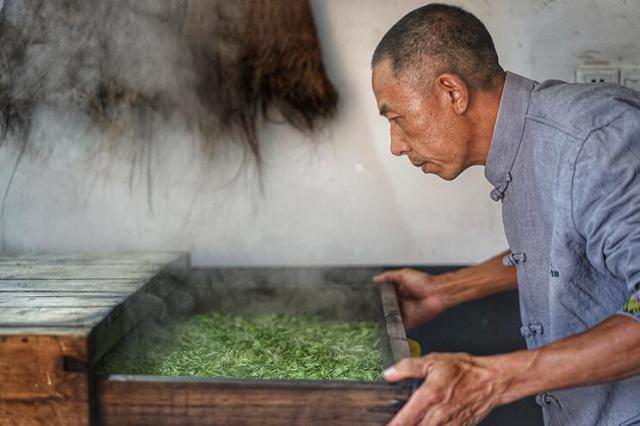 蒸青绿茶（蒸青绿茶有哪些品种）